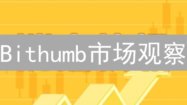 Bithumb市场观察：多币种剧烈波动与复杂投资者情绪