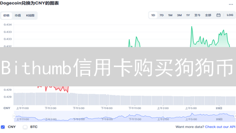 Bithumb信用卡购买狗狗币：注意事项与风险防范