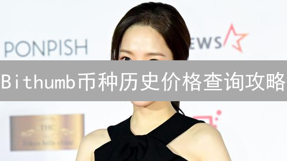 Bithumb币种历史价格查询攻略：掌握数据，决胜币圈？
