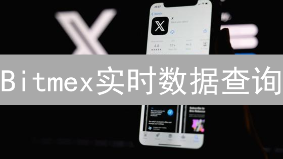 Bitmex实时数据查询：解密交易细节与API使用技巧