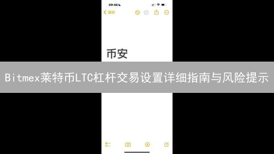 Bitmex莱特币LTC杠杆交易设置详细指南与风险提示