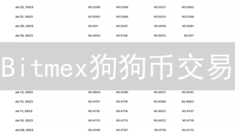 Bitmex狗狗币交易：服务保障与优化交易体验