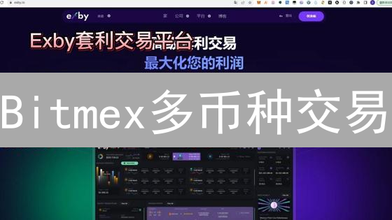 Bitmex多币种交易：进阶策略与风险控制指南