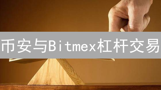 币安与Bitmex杠杆交易：风险管理差异深度剖析