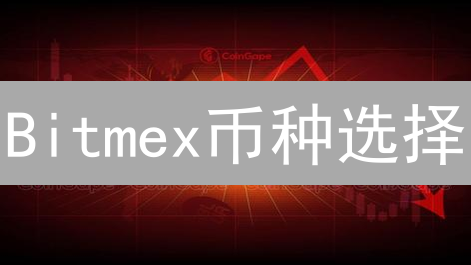 Bitmex币种选择：高杠杆下的明智之选？交易指南