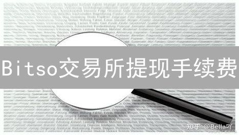 Bitso交易所提现手续费：多币种支持与费用详解