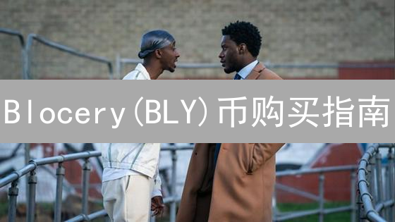 Blocery(BLY)币购买指南：详细步骤与注意事项