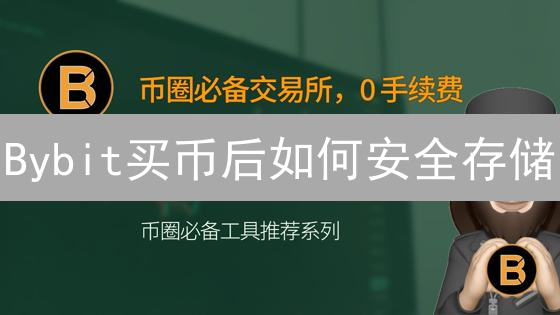 Bybit买币后如何安全存储？7大方案深度解析！【2024最新】