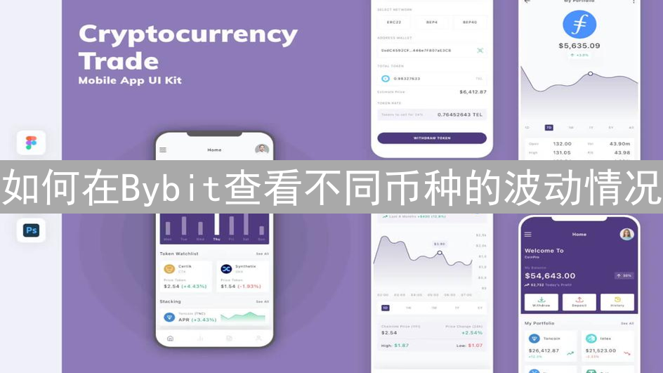 如何在Bybit查看不同币种的波动情况：全面指南