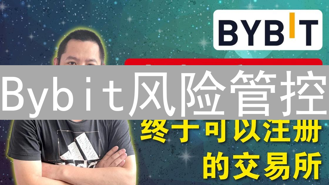 Bybit风险管控：在加密货币市场中稳健交易的策略与技巧