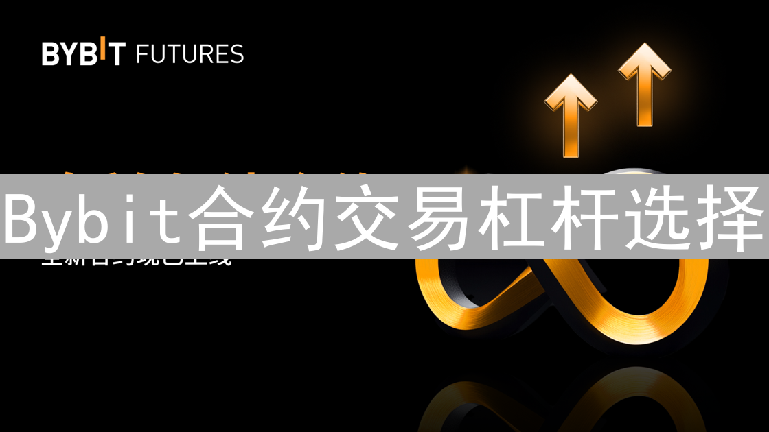 Bybit合约交易杠杆选择：风险与收益的平衡艺术