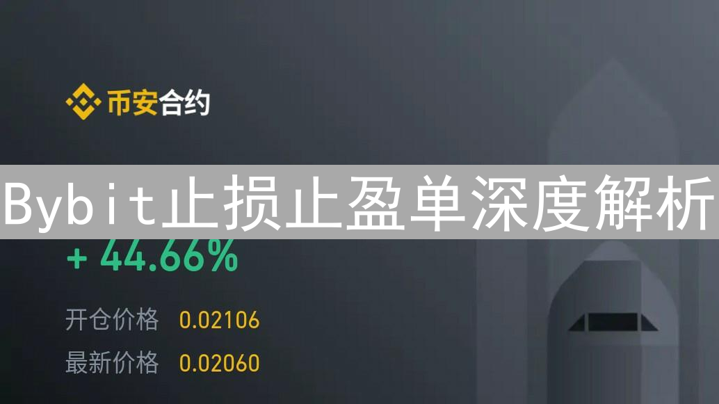 Bybit止损止盈单深度解析：交易利器助您掌控风险、锁定利润
