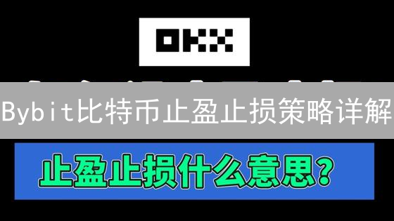 Bybit比特币止盈止损策略详解：风险管理与交易控制