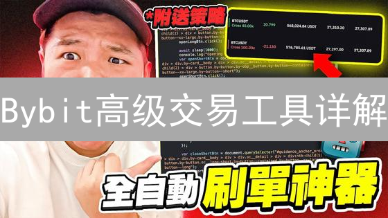 Bybit高级交易工具详解：专业交易策略解锁指南