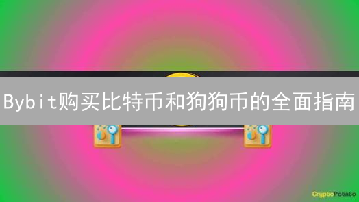 Bybit购买比特币和狗狗币的全面指南：交易策略与技巧