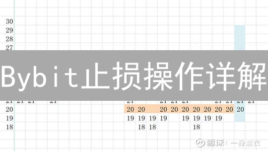 Bybit止损操作详解：保障您的交易安全