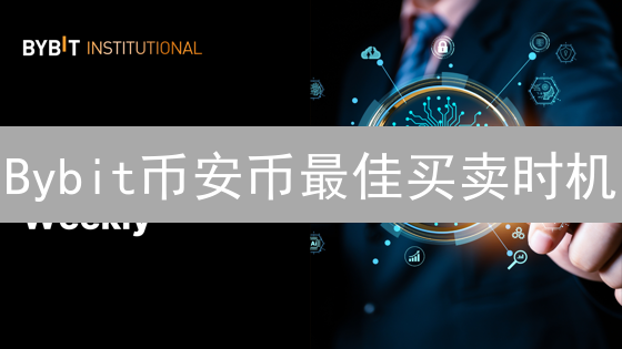 Bybit币安币最佳买卖时机：深度分析与策略