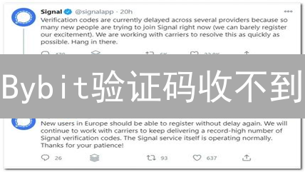 Bybit验证码收不到？原因排查与解决方案全攻略