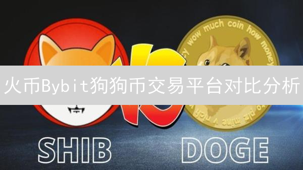 火币Bybit狗狗币交易平台对比分析：选择指南