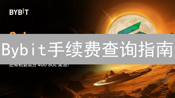 Bybit手续费查询指南：轻松掌握交易明细与成本控制