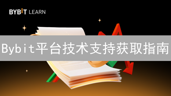 Bybit平台技术支持获取指南：多种渠道解决您的问题