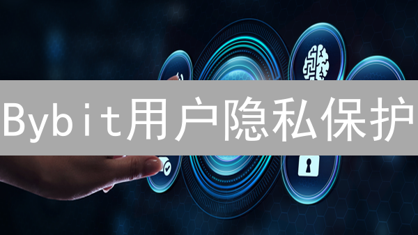 Bybit用户隐私保护：数字时代的安全港湾