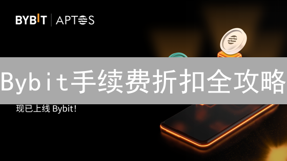 Bybit手续费折扣全攻略：降低成本，提升盈利！