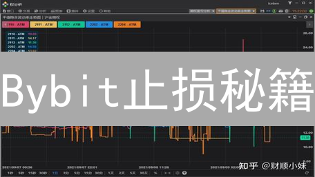Bybit止损秘籍：如何在加密市场稳健盈利？