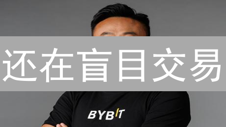 还在盲目交易？Bybit交易数据查询与分析，助你实现盈利飞跃！