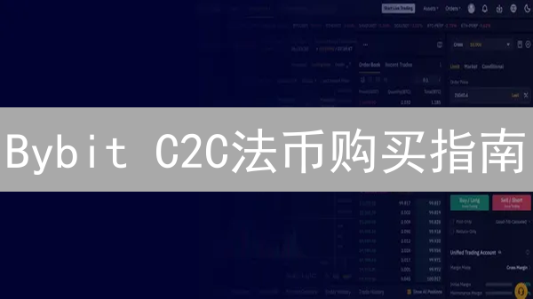 Bybit C2C法币购买指南：新手入门教程详解