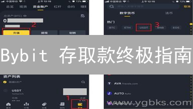 Bybit 存取款终极指南：高效安全，新手必看！