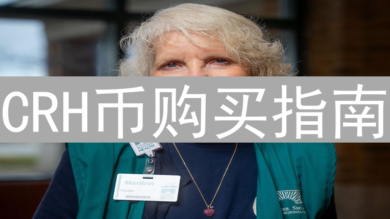 CRH币购买指南：新手入门与交易平台选择