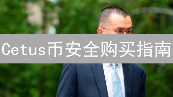 Cetus币安全购买指南：平台选择与风险分析