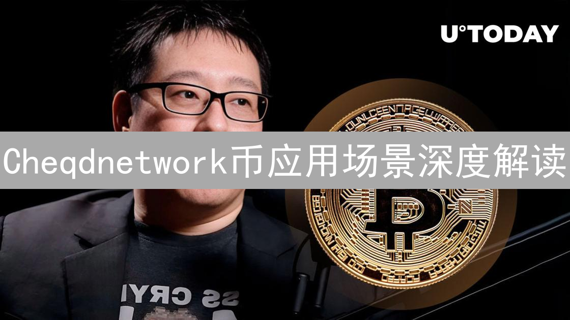 Cheqdnetwork币应用场景深度解读