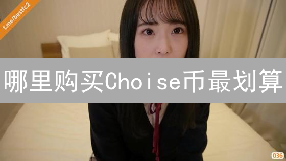 哪里购买Choise币最划算？平台选择与风险考量