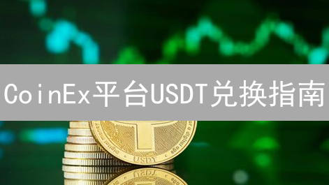 CoinEx平台USDT兑换指南：新手入门与交易技巧