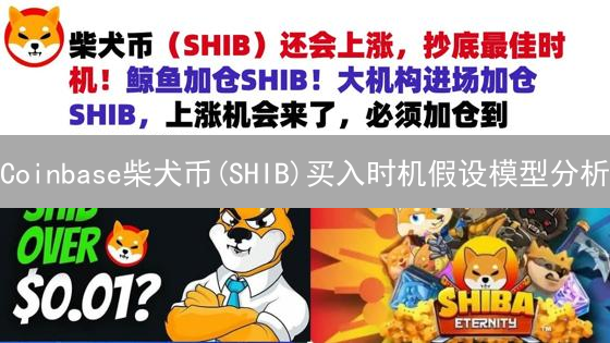 Coinbase柴犬币(SHIB)买入时机假设模型分析