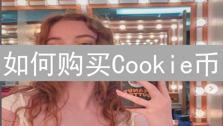 如何购买Cookie币：安全高效的交易步骤与注意事项