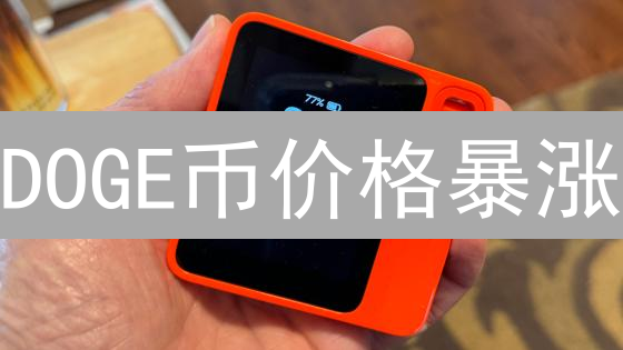 DOGE币价格暴涨？开发者必看API数据指南！