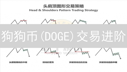 狗狗币(DOGE)交易进阶：欧易OKX实战指南与风险控制