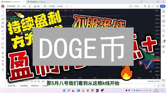 DOGE币：社区力量驱动的市场前景深度分析