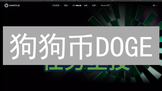 狗狗币DOGE：从迷因到元宇宙通行证的潜力探索