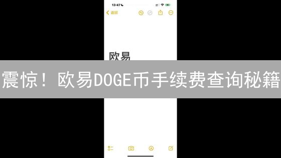 震惊！欧易DOGE币手续费查询秘籍：如何省钱？