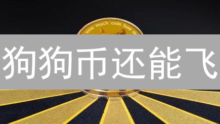 狗狗币还能飞？深度剖析DOGE的崛起与未来！