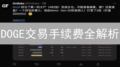 DOGE交易手续费全解析：避坑指南与优化策略
