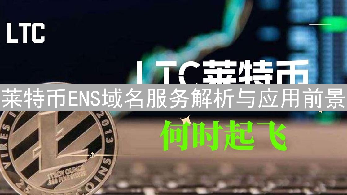 莱特币ENS域名服务解析与应用前景