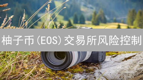 柚子币(EOS)交易所风险控制：火币与Bitfinex策略分析