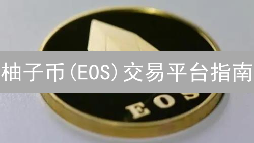 柚子币(EOS)交易平台指南：主流交易所与DEX选择