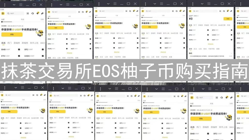 抹茶交易所EOS柚子币购买指南：新手轻松入门教程