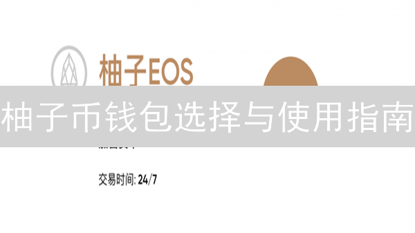 柚子币钱包选择与使用指南：安全存储EOS资产